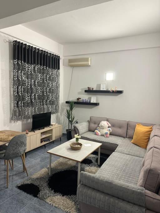 Apartment Near The Centre Of ติรานา ภายนอก รูปภาพ